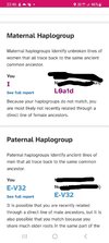 my haplogroup .jpg