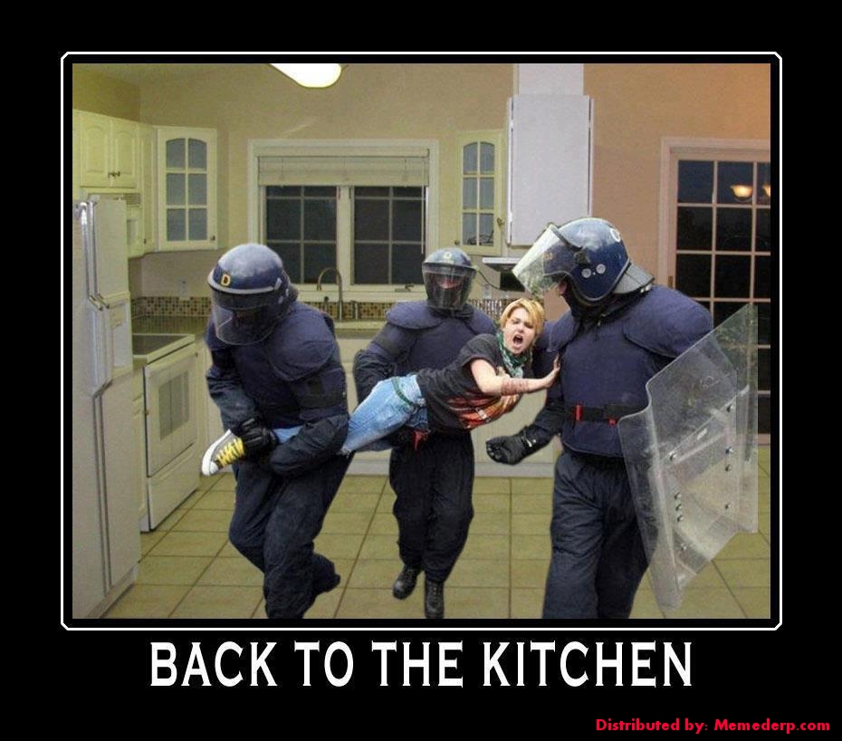 back-in-the-kitchen-meme.jpg