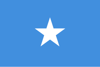 320px-Flag_of_Somalia.svg.png