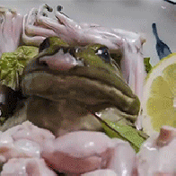 live-frog-sashimi-sushi-japan-c.gif