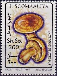 Stamp: Lactarius deliciosus (Somalia) (Mushrooms) Mi:SO 503 | Somalia,  Stamp, Africa