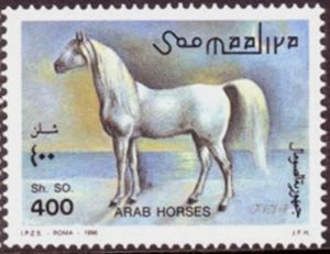 Stamp: White Arab horse (Somalia) (Arab horses) Mi:SO 589,Yt:SO 509
