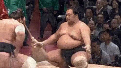 も_20231109_1.gif