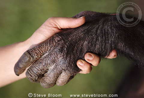 001539-SB1.jpg