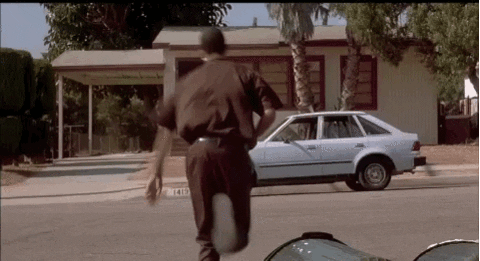 008F5441-F2A9-4055-827A-5A8F1EA59C13.gif