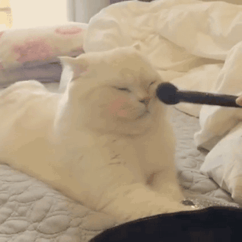 00C79792-EF2C-448B-ADBA-2CD533BE9652.gif