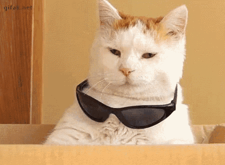 0130C85A-AB99-41B0-8530-F58CD8A1965C-497-00000067ED227962.gif