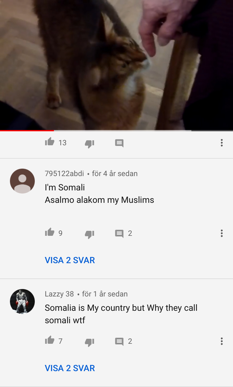 0140FD2C-1D64-4ABF-AB0B-F9BD313B0169.jpeg