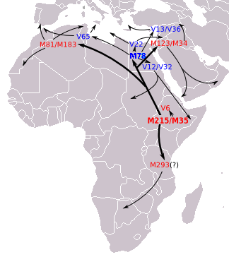 03082624-0244-4B3A-82CC-A0DA909038E5-3167-0000021D50BE452B_tmp.png