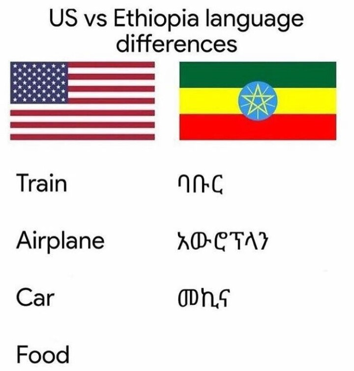 07B59904-7A5E-4481-B671-ED6BF9EDCC92.jpeg