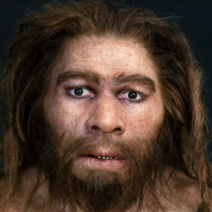 080416_neanderthal_P.png