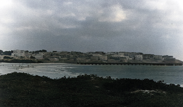 085899A9-79DA-48AA-8BCC-C29498FD5603.jpeg