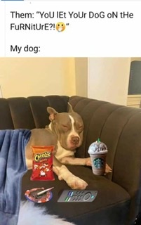 0912D0A0-EBF7-43C9-96D3-EE04D4BCB065.jpeg