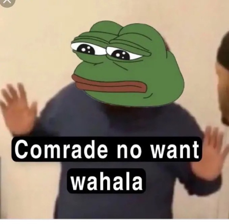 0C540410-298F-422D-80ED-2AD5A931ED7C.jpeg