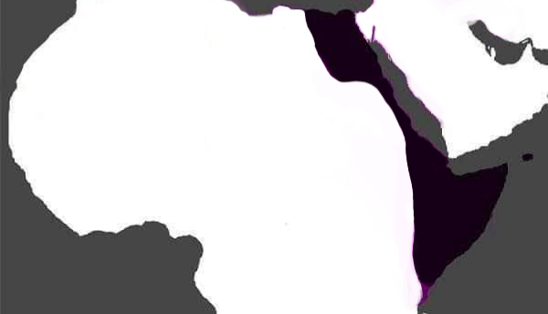 1000045661.png