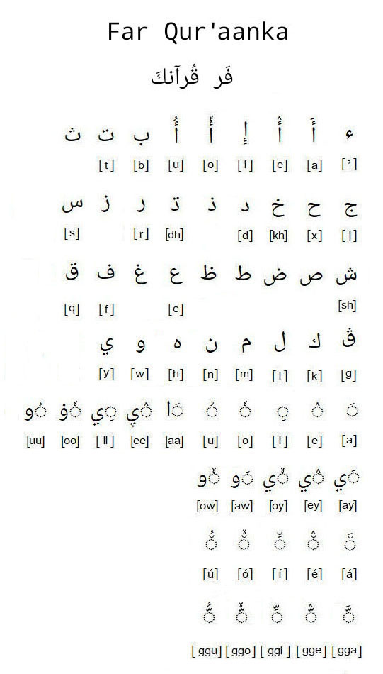 1000117630.jpg