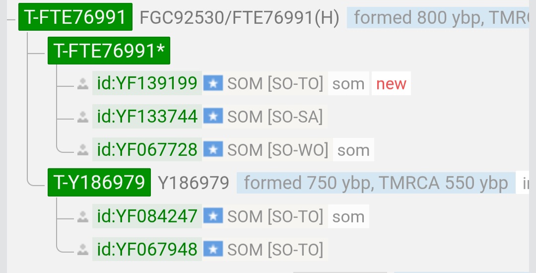 1000176593.jpg