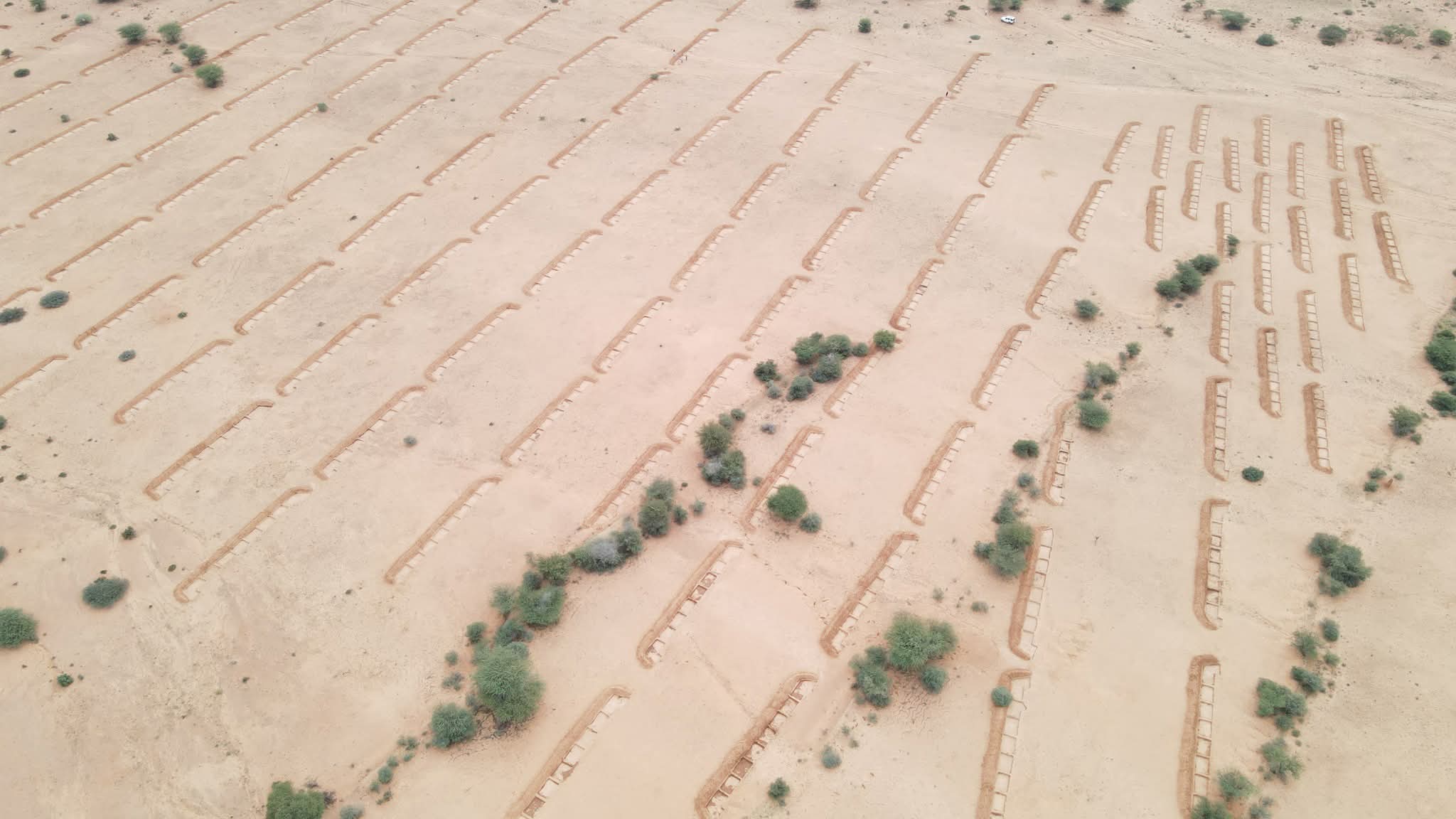 1000197101.jpg 1000197101.jpg