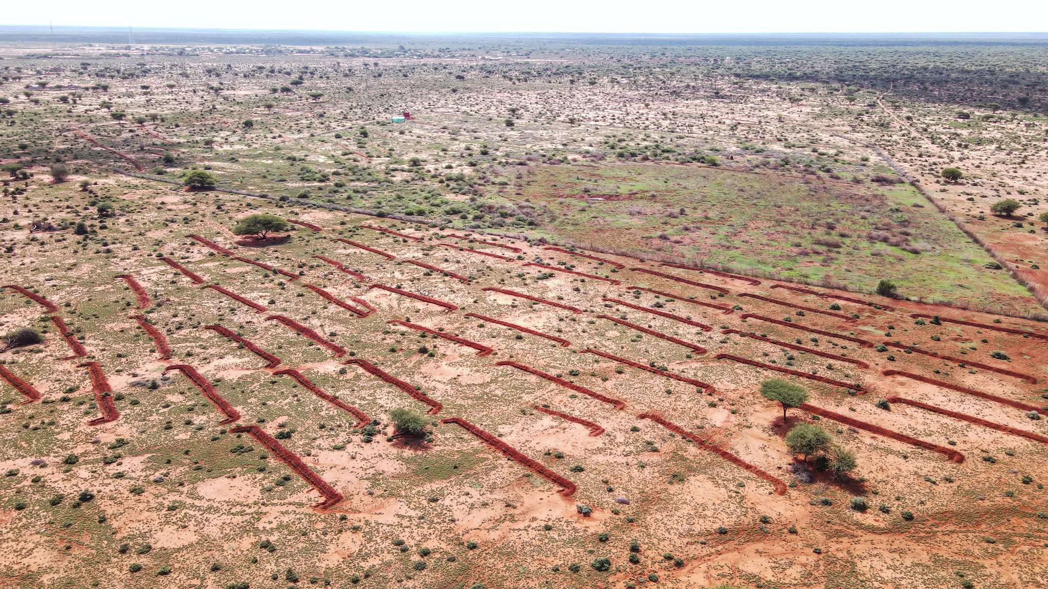 1000197103.jpg 1000197103.jpg