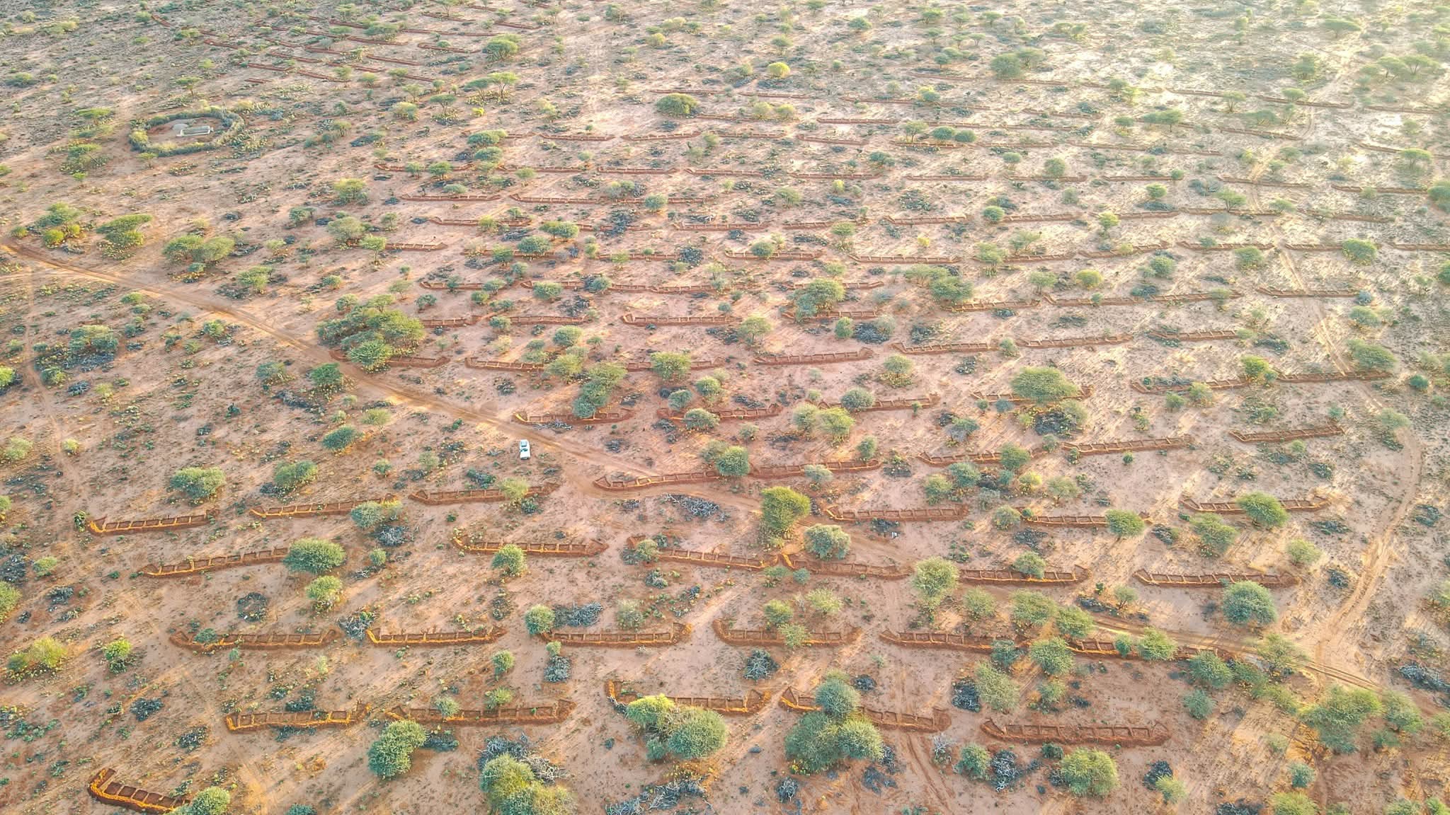 1000197105.jpg 1000197105.jpg