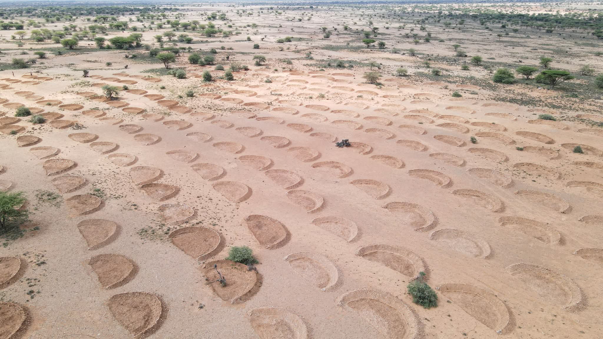 1000197107.jpg 1000197107.jpg