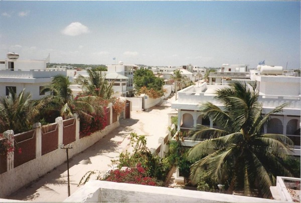 125409_med.jpg