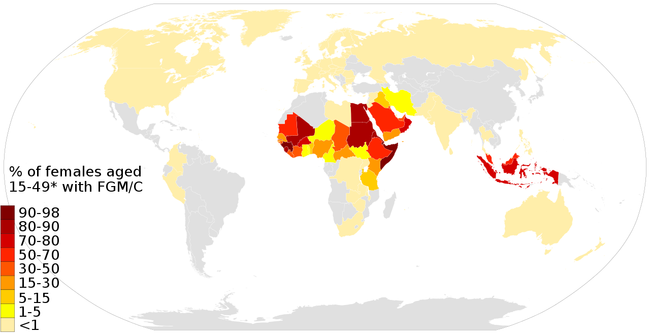 1280px-2020_Global_Response_report_FGM_world_map.svg.png