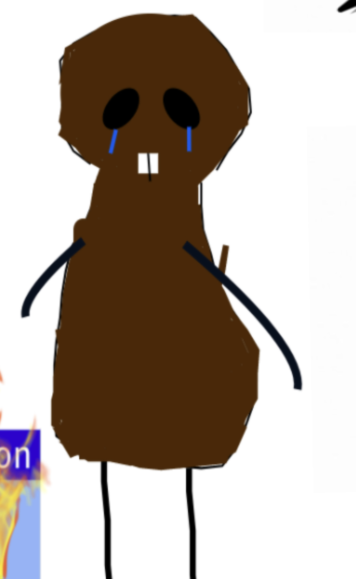 12E1AA00-D77B-42A8-9199-736C4A4E0840.jpeg