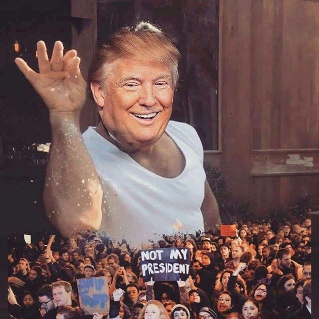 1485408234947.jpg