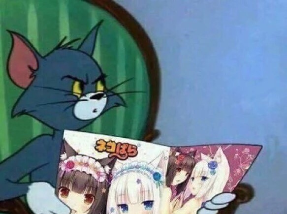 1488051351421.jpg