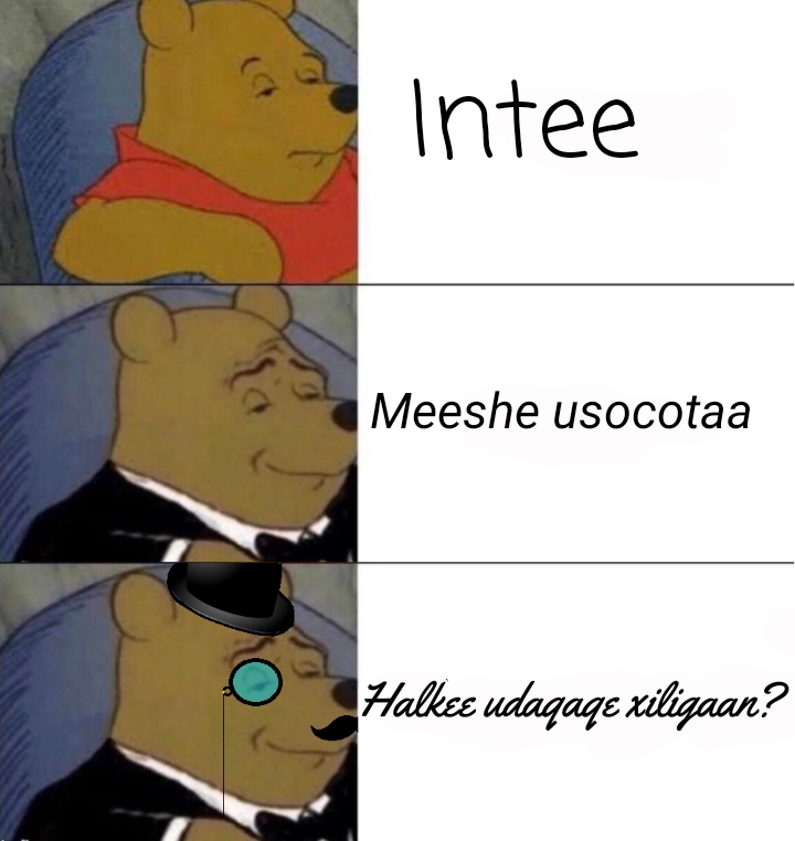 1553881944004.jpg