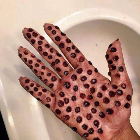 1585065252936.png