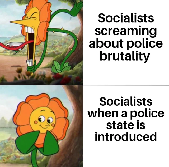 1585168309570.png