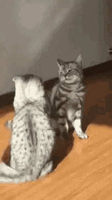 1585216777907.gif