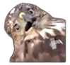1586083377985.png