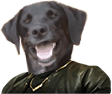 1586085085975.png