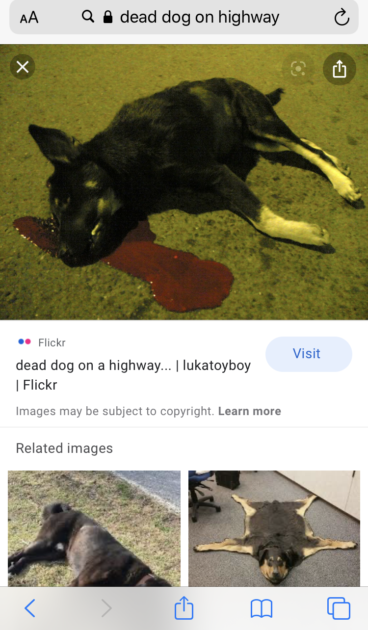 1587385167485.png