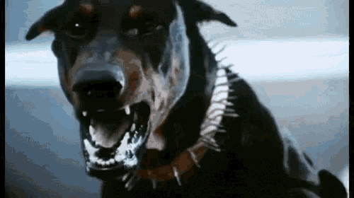 1587980481200.gif