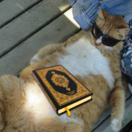 1588017200586.png
