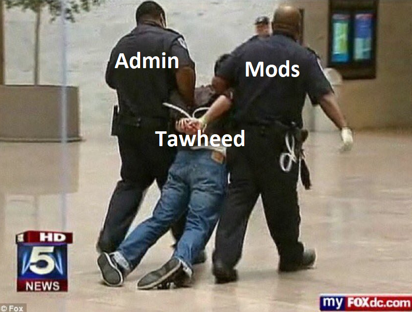 1588169855256.png