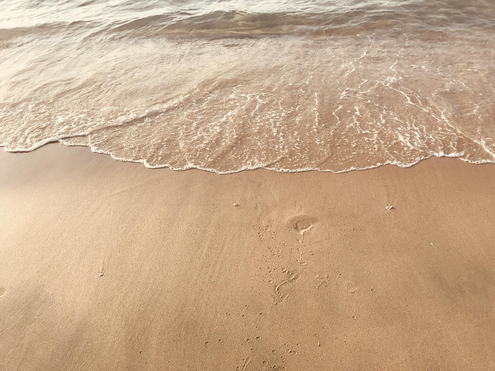 1588377260468.jpeg
