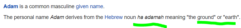 1588525501402.png