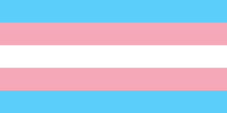 Transgender flags - Wikipedia