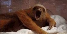 1593704851830.gif