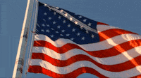 1593888030745.gif