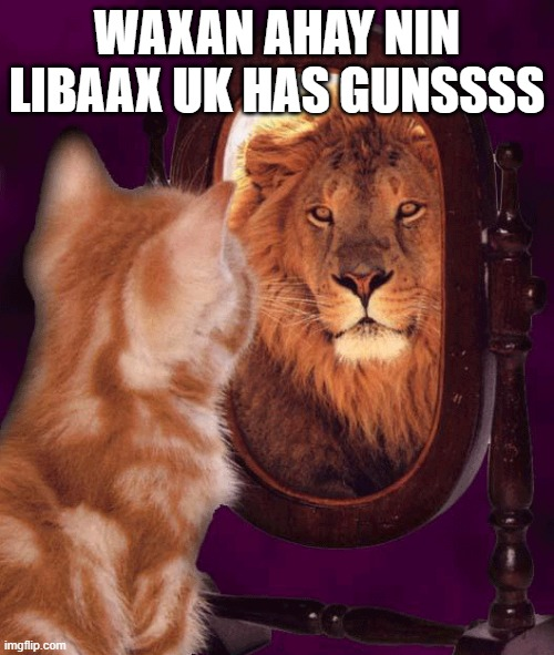 1596806311332.png