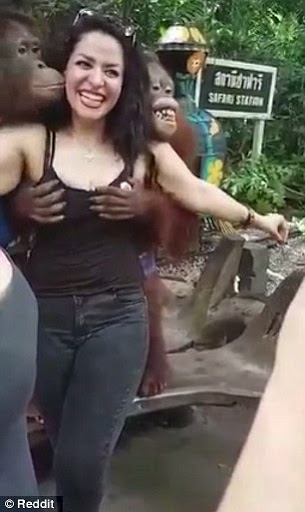 1598714788520.png
