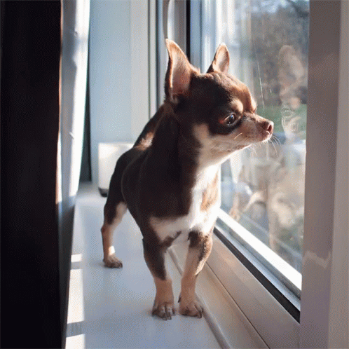 1598889371226.gif