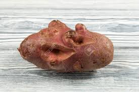 Ugly Food. Deformed Organic Potato On The Wooden Background... Stock Photo,  Picture And Royalty Free Image. Image 143864002.