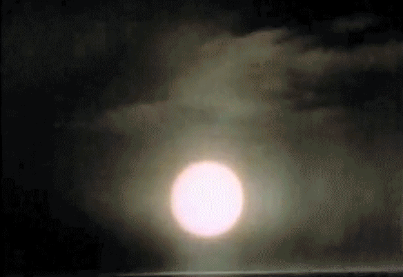 1603075303478.gif